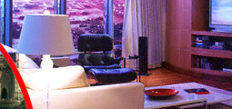 Indian Hotels